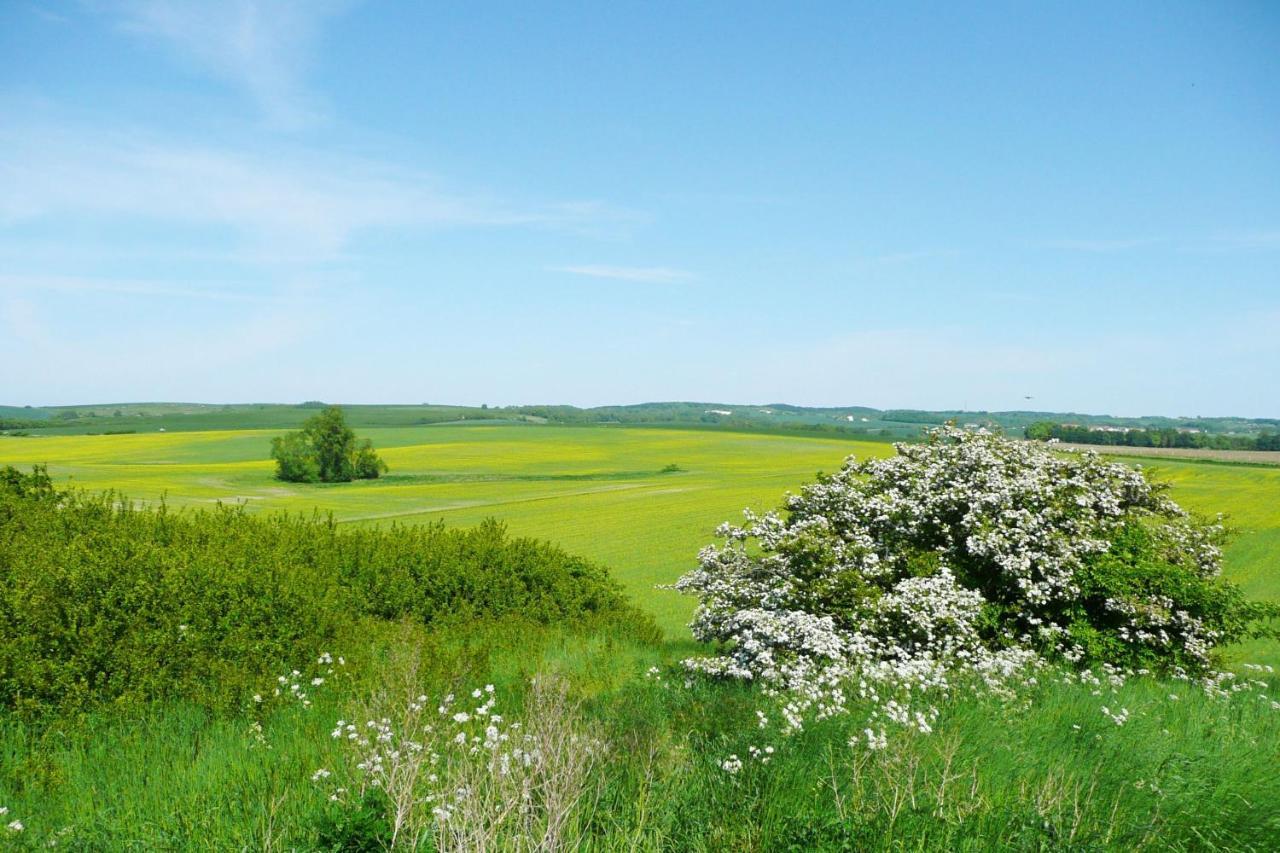 Ferienresidenz Zwei Bodden Fewo2-8 - Balkon, Sauna, Kamin Lietzow Buitenkant foto